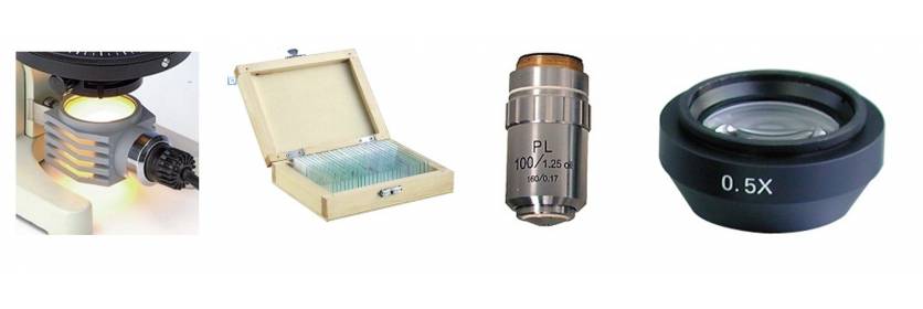 Accessoire Perl