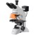 Microscope à fluorescence Bresser Science ADL 601 F LED 40-1000x