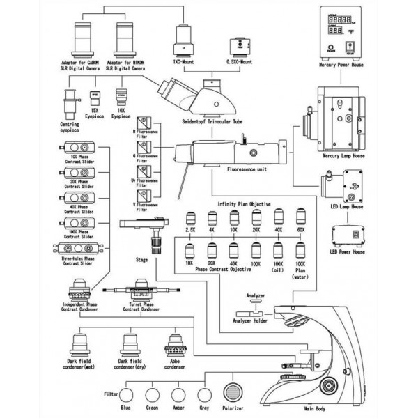 Microscope BK 5000 Trinoculaire Realux | Loisirs Plaisirs