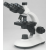 Microscope trinoculaire Realux B204 LED 1000x pour l’enseignement et la routine