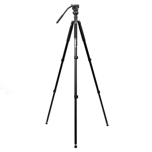 Pack Observation Nature Perl 20-60x80 + Trépied STABILIS 500V