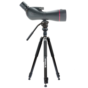 Pack Observation Nature Perl 20-60x80 + Trépied STABILIS 500V