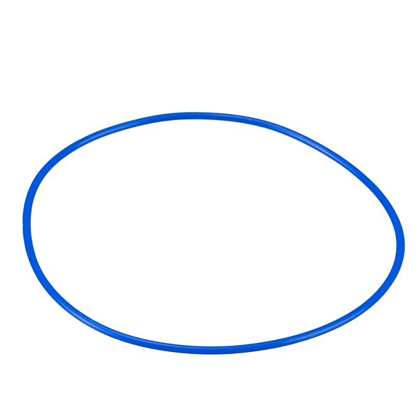 Joint Caoutchouc Sonde Piscine Bresser 7009973