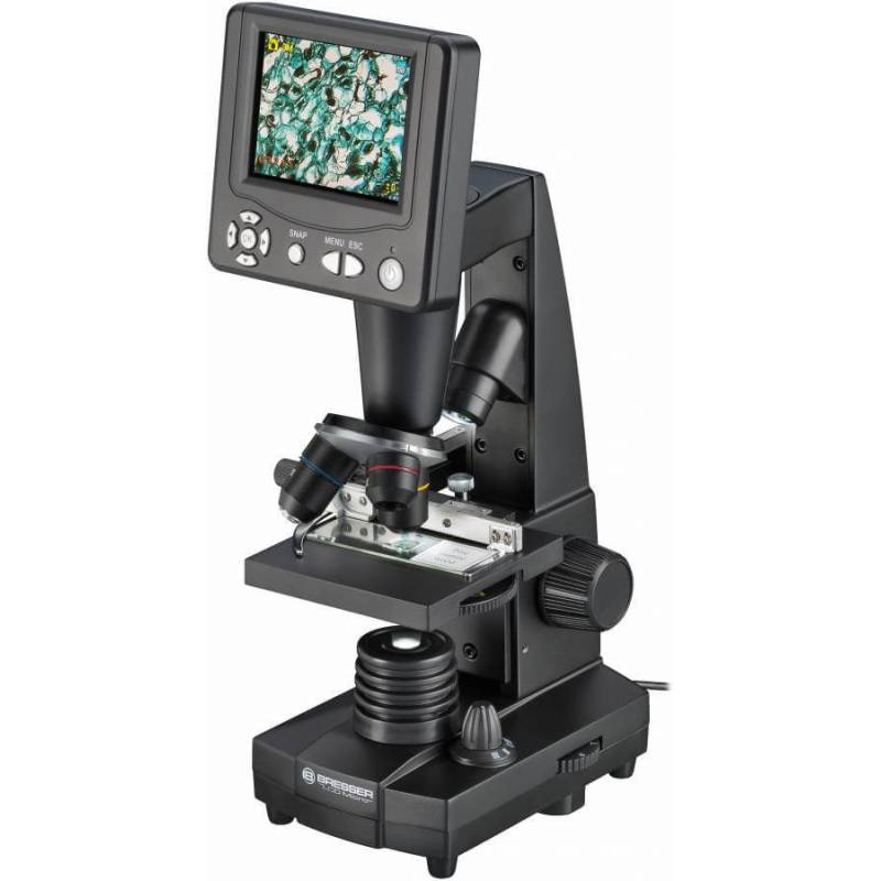 Pourquoi Les Microscopes lectroniques Sont Ils Si Importants LRPJJK Pourquoi Les Microscopes lectroniques Sont Ils Si Importants LRPJJK