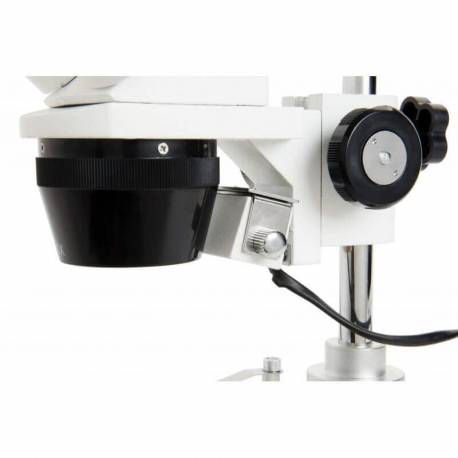 Loupe binoculaire LABS S10-60 Celestron