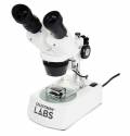 Loupe binoculaire LABS S10-60 Celestron