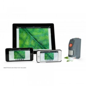 Microscope numérique Celestron de poche Micro – WIFI - microscopie
