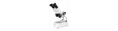 Loupes binoculaires et Trinoculaires -  Stéréomicroscope