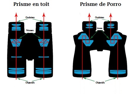 Jumelles à prismes