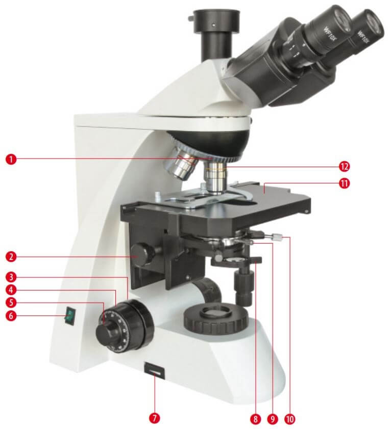 Composants du microscope Science TRM 301 trinoculaire