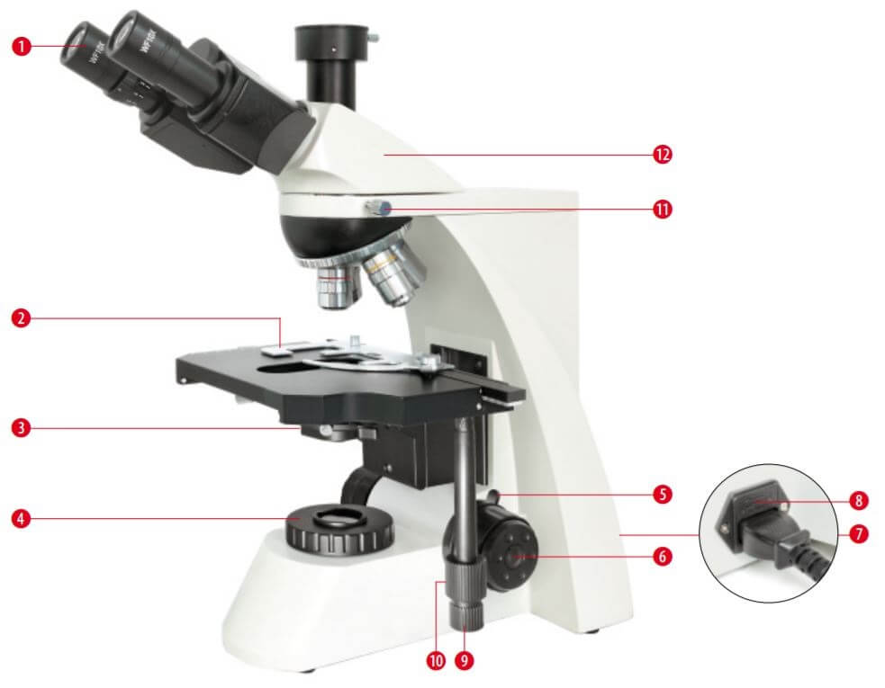 Microscope trinoculaire Science TRM 301
