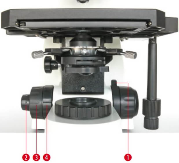 Microscope Bioscience trinoculaire : Mise au point macrométrique et micrométrique