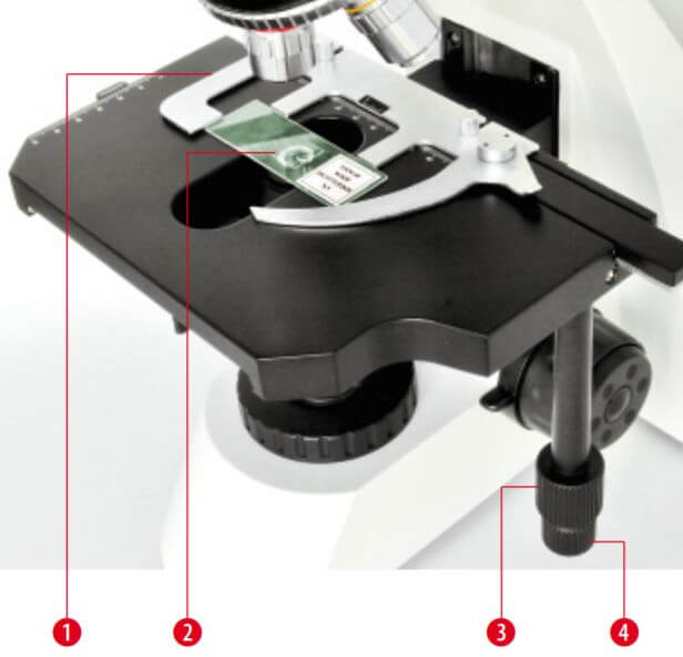 Microscope Science TRM 301 trinoculaire : Platine intégrée avec commande coaxiale