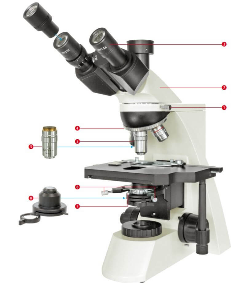 Microscope trinoculaire Bresser Science TRM 301