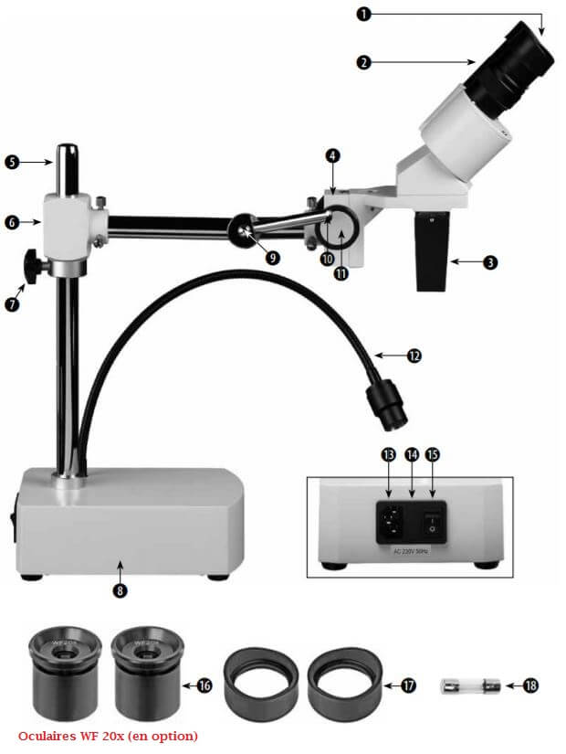 Loupe Bresser binoculaire ICD 5x à 20x