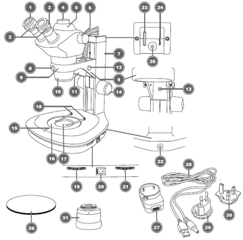 Loupe trinoculaire Science ETD 201