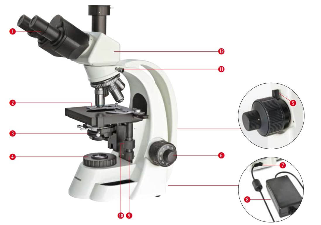 Composants du microscope Bioscience 40-1000x trinoculaire