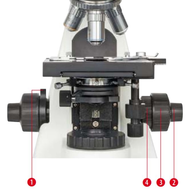 Microscope Bioscience trinoculaire : Mise au point macrométrique et micrométrique