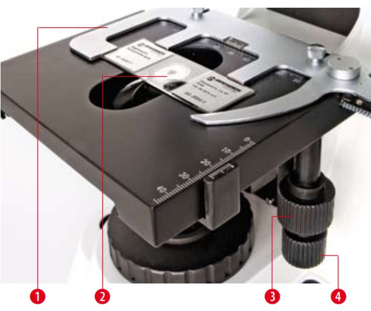 Microscope Biosciences trinoculaire  Platine intégrée avec commande coaxiale