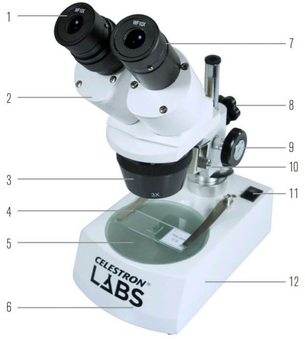 Celestron LABS S10-60 - Loupe binoculaire