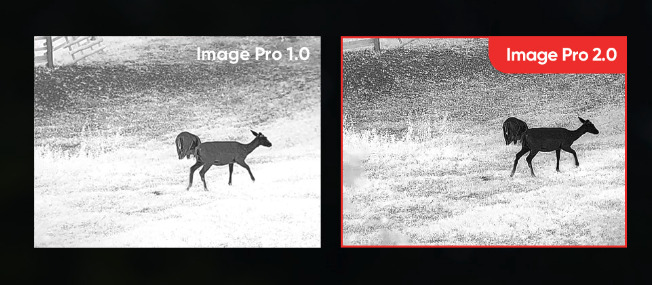 algorithme hikmicro image pro 2 0