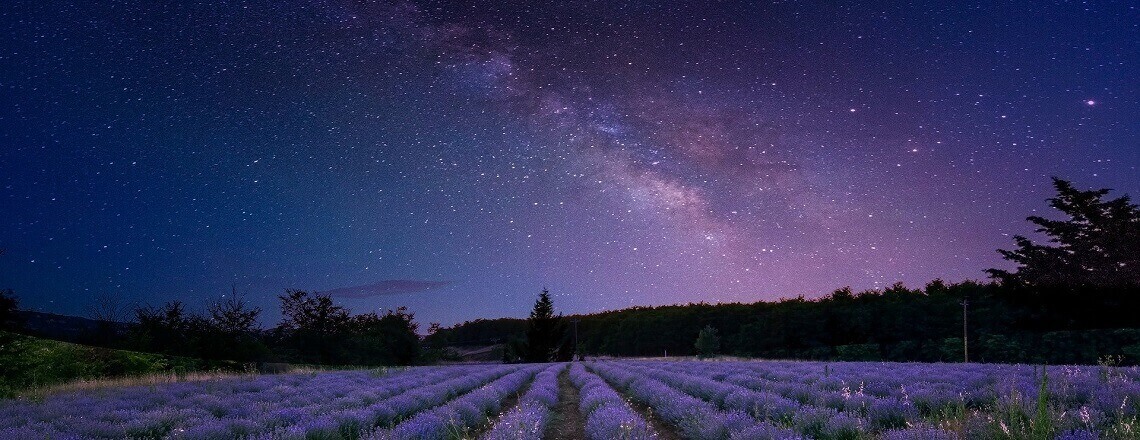 Loisirs Plaisirs spécialiste en matériel d'observation